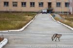 220711b_Pyramiden_066_E