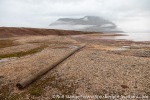 220713a_Coraholmen_44_E