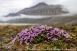 220713b_Blomesletta_08_E