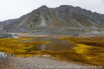 220821a_Hyttevika_68_E