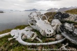 220821b_Store-Dunoya_099_E