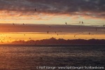 220821c_Bellsund_60_E