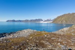 170731f_Kvedfjordbukta_001_E