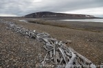 220813a_Vindbukta_009_E