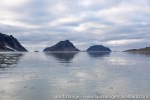 220905b_Fuglefjord_42_E