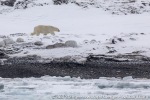 220504a_Midterhukhamna_123_E