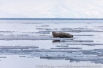 220504b_Mariasundet_35_E