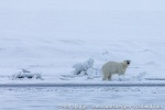 220505d_Ymerbukta_24_E