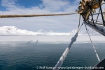 220506a_Ymerbukta_22_E