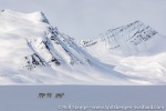 220506b_Erdmannodden_06_E
