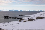 220506c_Colesbukta_026_E