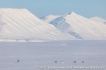 220325d_Reindalen_42_E