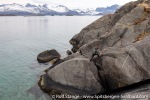 230428a_Hamn-i-Senja_10_E