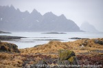 230429_Andenes_071_E