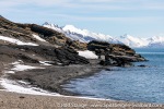 230601a_Forsbladodden_25_E