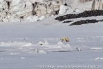 230602a_Fridtjovhamna_30_E