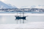230602a_Fridtjovhamna_42_E