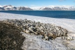 230602d_Bamsebu_09_E