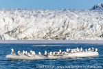 230602e_Recherchebreen_37_E