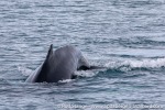 230603d_Hornsund_02_E
