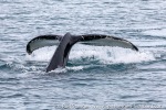 230603d_Hornsund_04_E