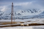 230605b_Ny-Alesund_29_E