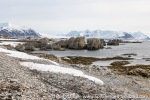 230607a_Eidembukta_25_E