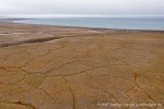 230712c_Rindedalen_31_D