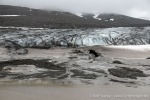 230713a_Hambergbukta_09_D