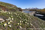 230703c_Eidembukta_12_E