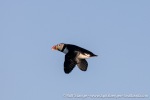230704c_Kongsfjord_15_E