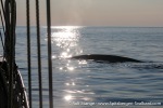 230704c_Kongsfjord_32_E