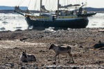 230705c_Ossian-Sarsfjellet_105_E