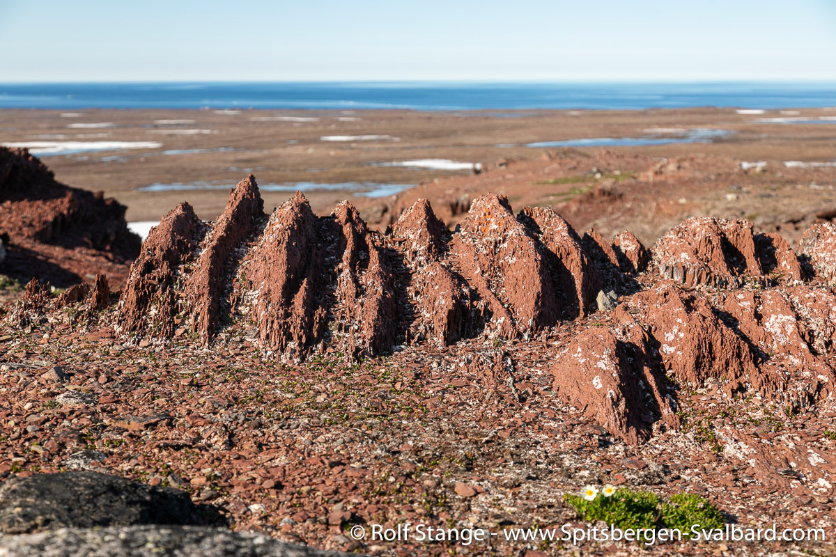 Spitsbergen 1-18 july, part 2 - Spitzbergen | Svalbard