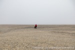 230709a_Detterbukta_27_E