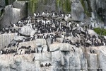 230709c_Alkefjellet_14_E