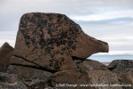 230710a_Idunneset_12_E