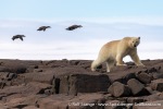 230710b_Gyldenoyane_054_E