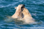 230710b_Gyldenoyane_267_E