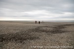 230711b_Kapp-Ziehen_12_E