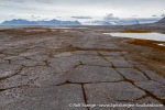 230714a_Vestvika_093_E