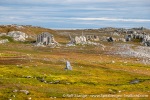 230714b_Hyttevika_02_E
