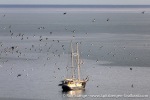 230714b_Hyttevika_06_E