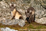230714b_Hyttevika_77_E