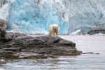 230807a_Nordenskioldbreen_183_E