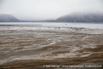 230807b_Carronelva_18_E