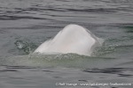 230807e_Billefjord_04_E