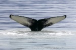 230807e_Billefjord_14_E