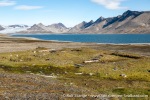230808a_Trygghamna_23_E
