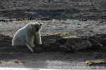 230808d_Poolepynten_212_E